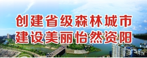 乱伦荡妇网创建省级森林城市 建设美丽怡然资阳