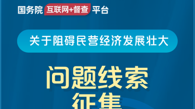 嗯～哥哥狠狠干我我舔我国务院“互联网+督查”平台公开征集阻碍民营经济发展壮大问题线索